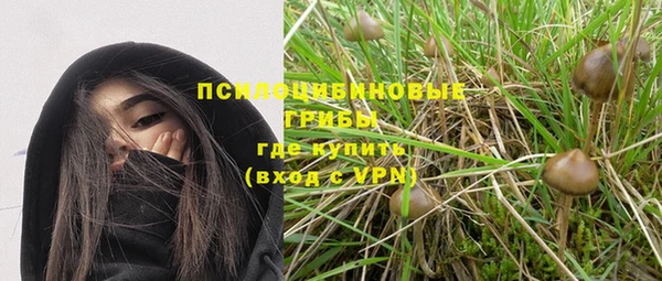 гидропоника Карталы