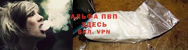 ECSTASY Кинешма