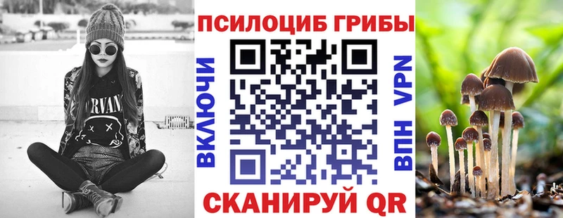 Псилоцибиновые грибы Psilocybine cubensis  Купить закладки  Заводоуковск 