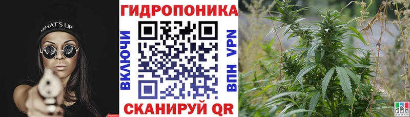 Бошки марихуана AK-47 Заводоуковск